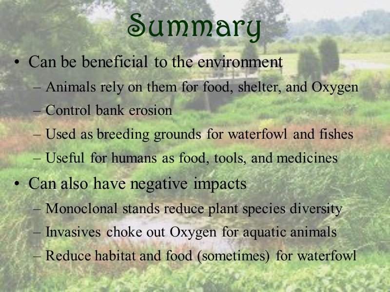 Summary Can be beneficial to the environment Animals rely on them for food, shelter,